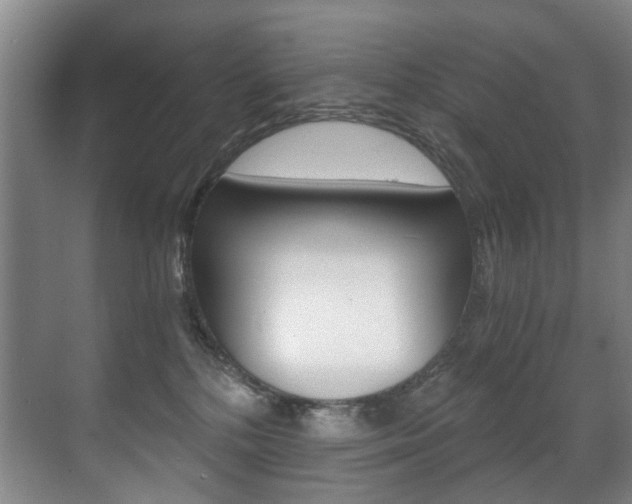 X0000071330232200606230812