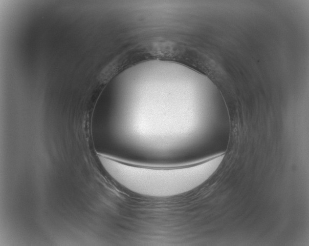 X0000071330233200606230812