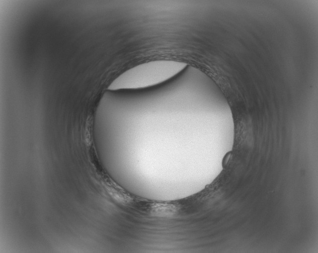 X0000071330234200606230812