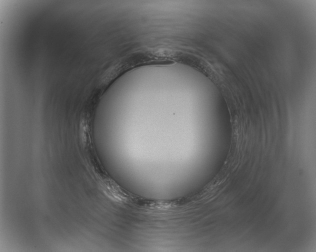 X0000071330235200606230812