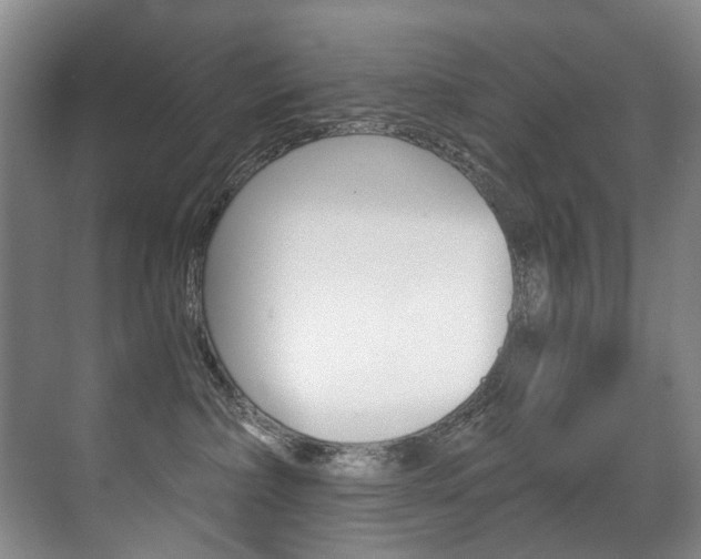 X0000071330236200606230812
