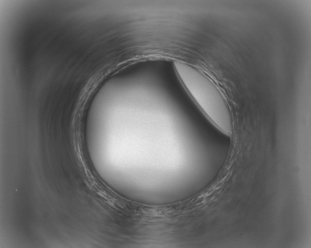 X0000071330241200606230811