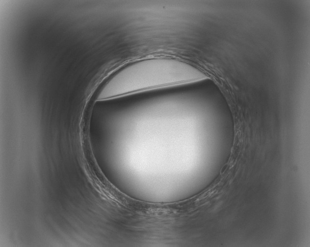 X0000071330242200606230811