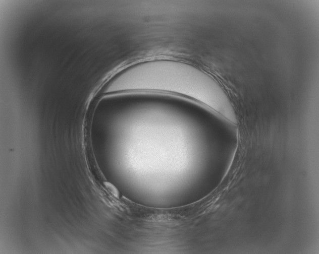 X0000071330244200606230811