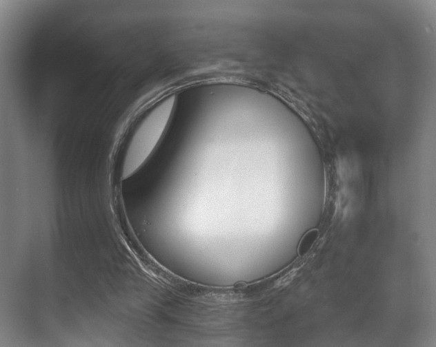 X0000071330245200606230811