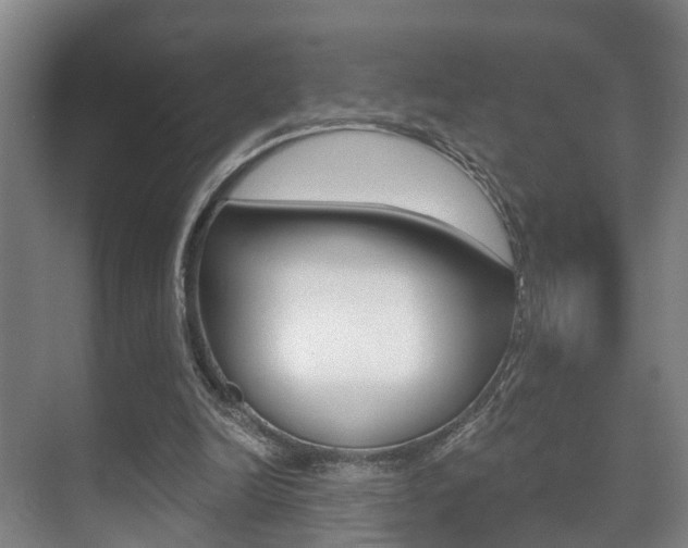X0000071330246200606230811