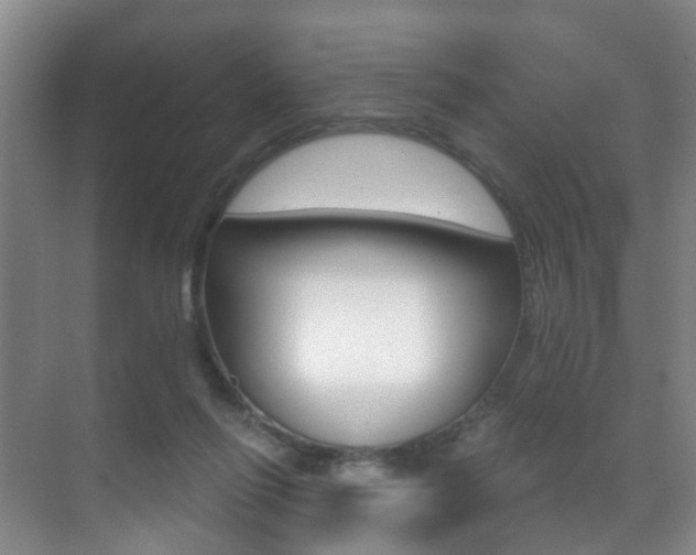 X0000071330262200606230811
