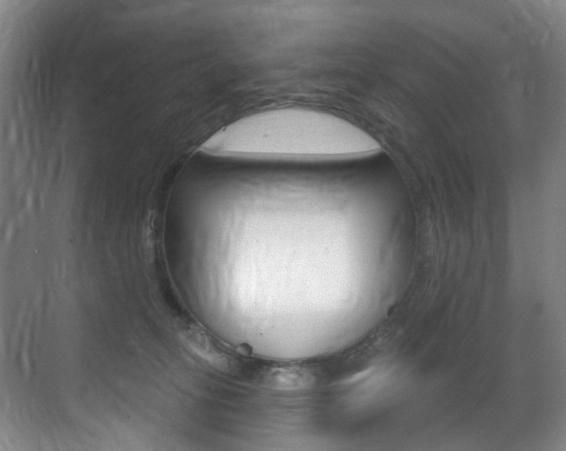 X0000071330275200606230811