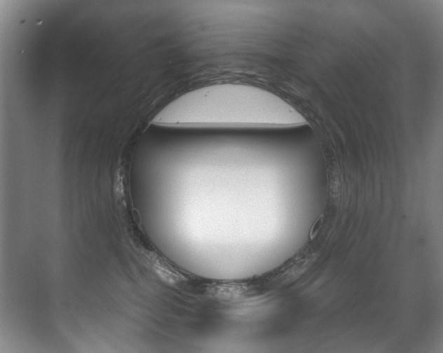 X0000071330282200606230811