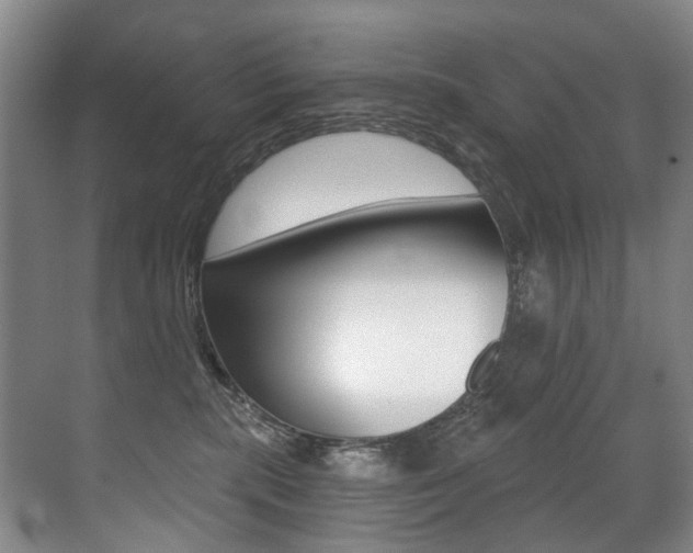 X0000071330283200606230811