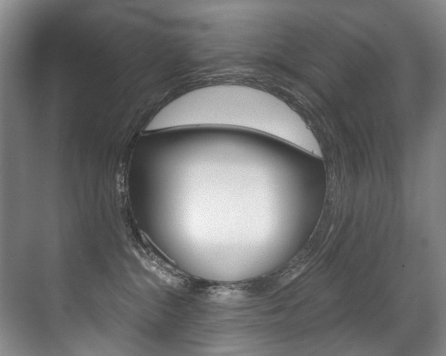 X0000071330284200606230811