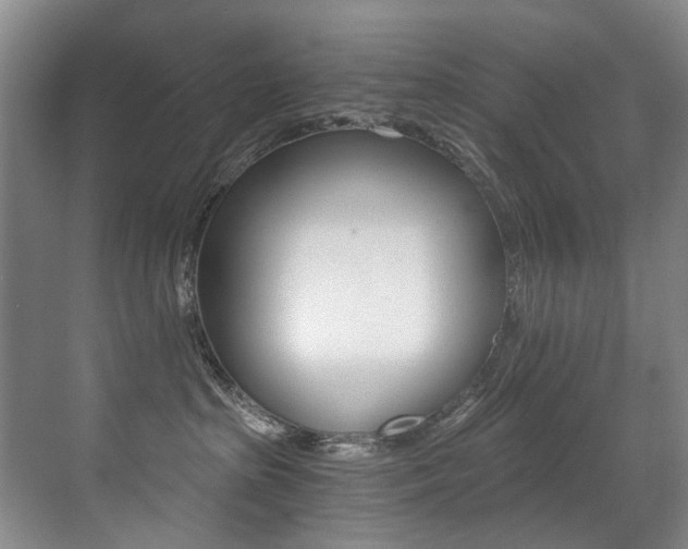 X0000071330285200606230812