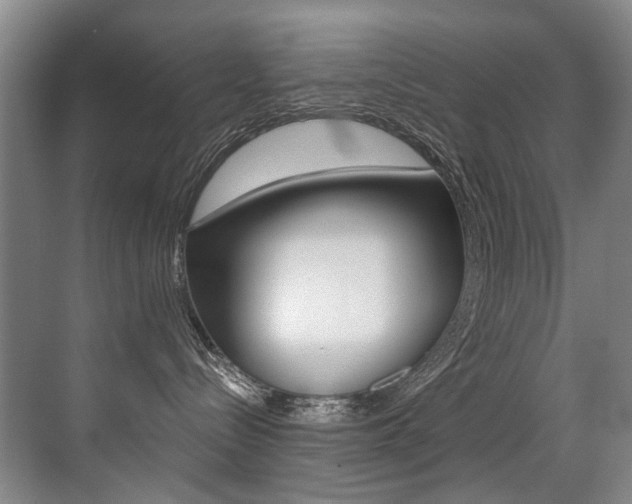 X0000071330288200606230812
