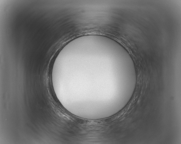 X0000071330290200606230811