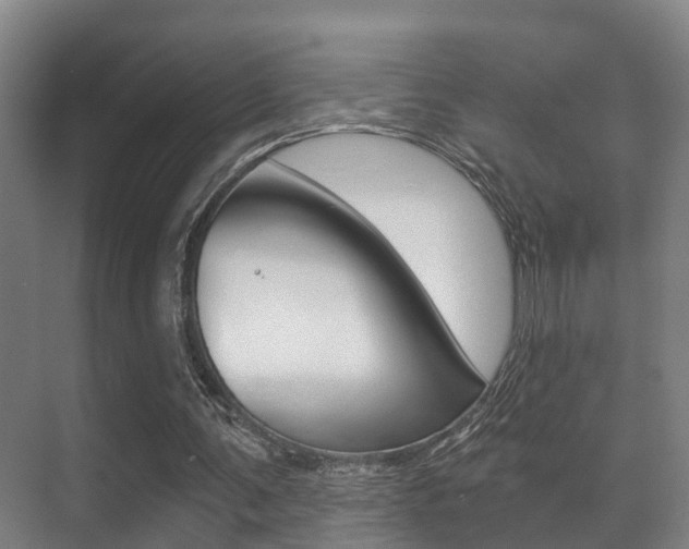 X0000071330291200606230811