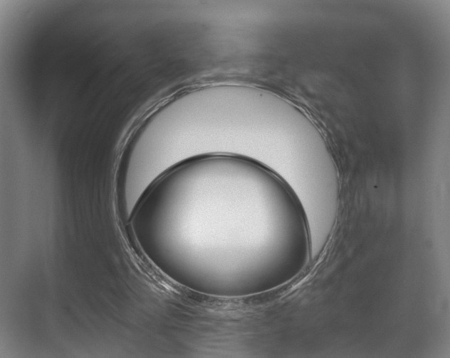 X0000071330293200606230811