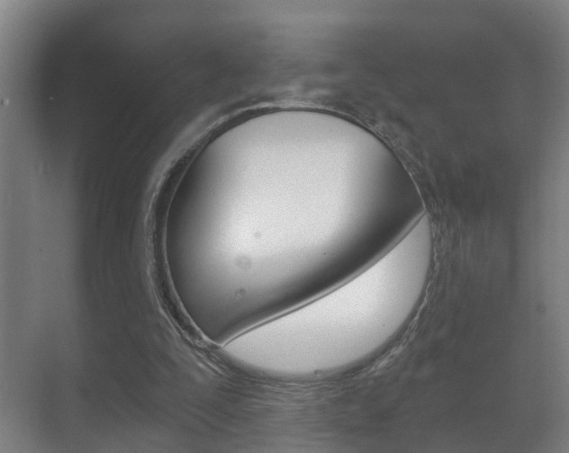 X0000071330295200606230811