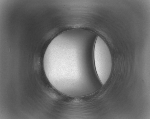 X0000071330308200606230810