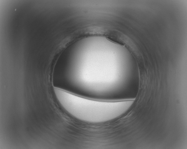 X0000071330309200606230810