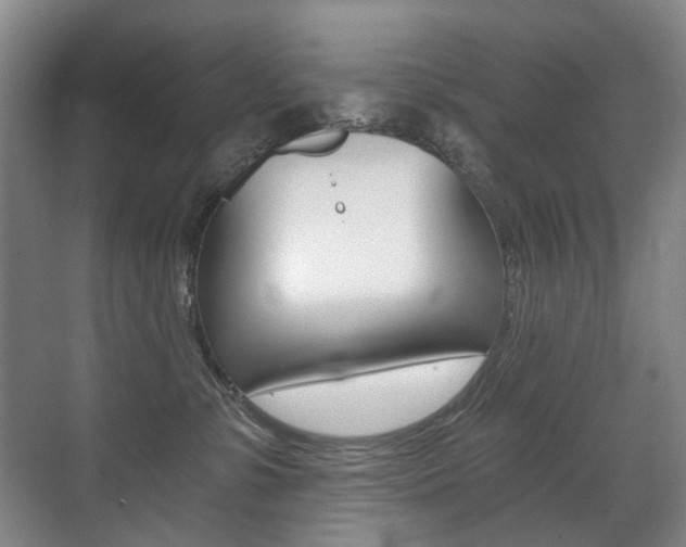 X0000071330331200606230810