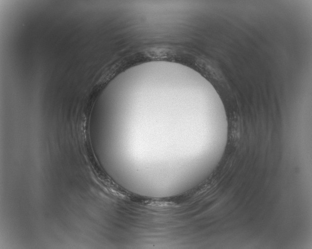 X0000071330332200606230810