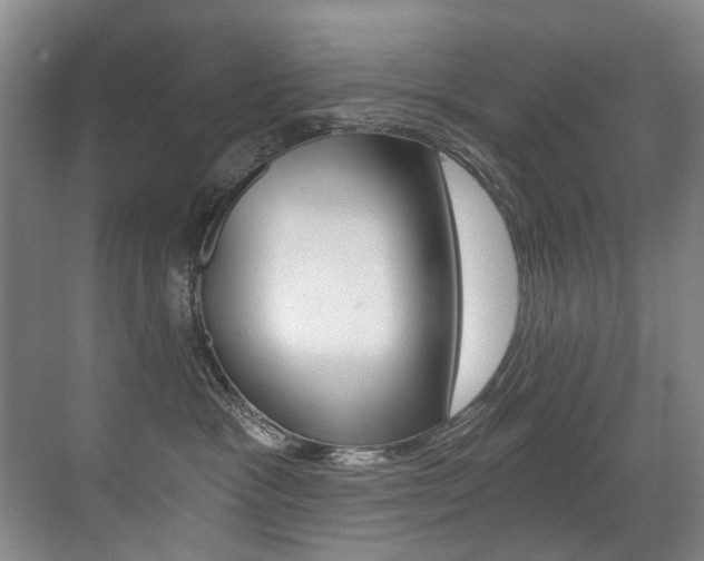 X0000071330333200606230810