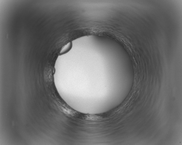 X0000071330336200606230810