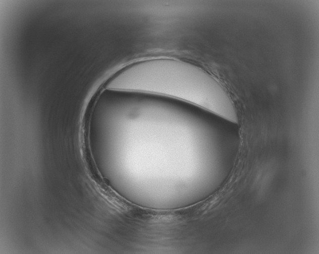 X0000071330342200606230809
