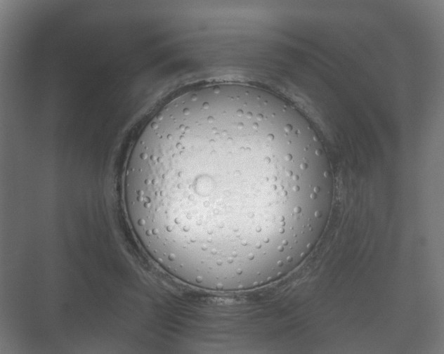 X0000071330347200606230809