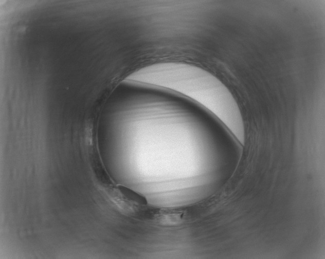 X0000071330368200606230810