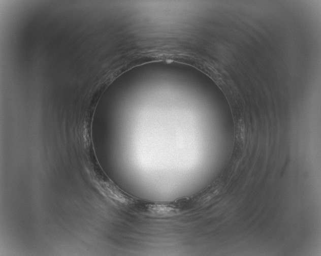 X0000071330380200606230810