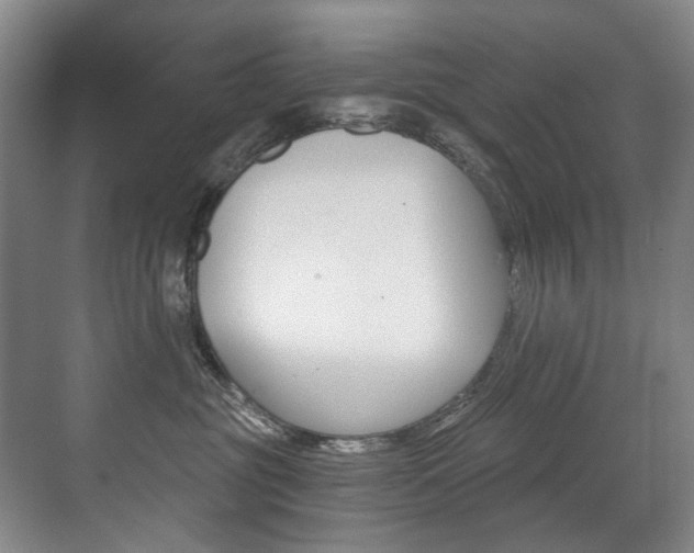 X0000071330381200606230810