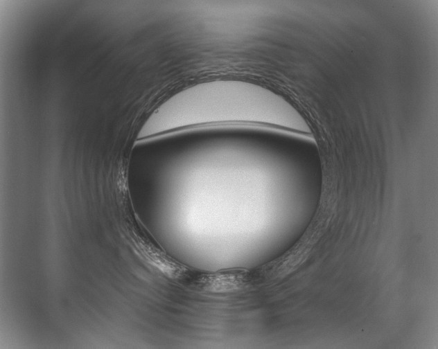 X0000071330384200606230810