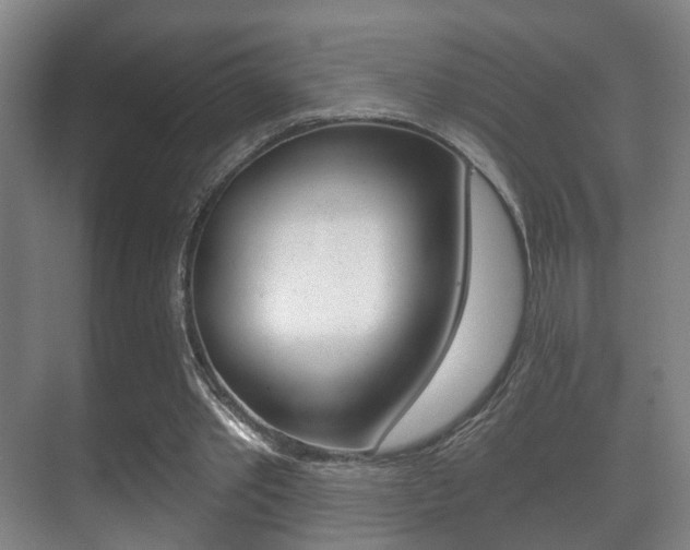 X0000071330389200606230809