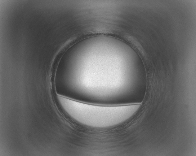 X0000071330395200606230809