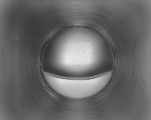 X0000071330397200606230809