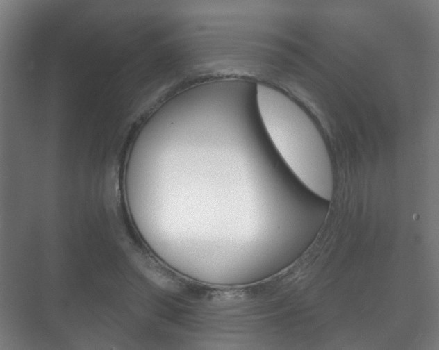 X0000071330398200606230809