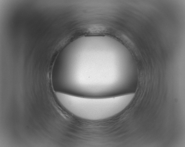 X0000071330405200606230809