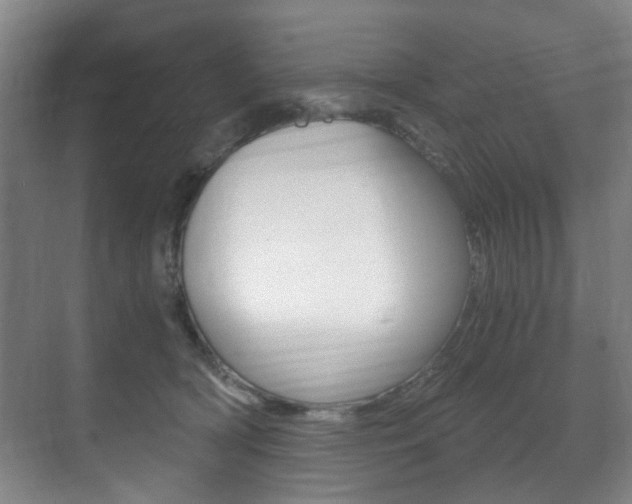 X0000071330418200606230809