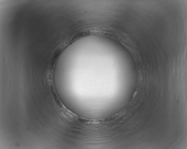 X0000071330419200606230809