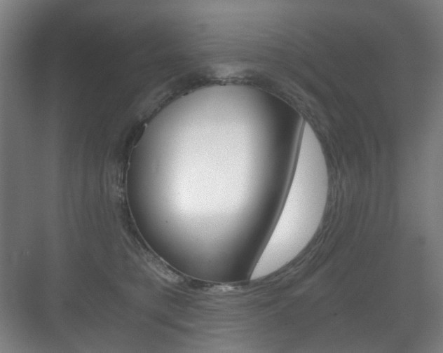 X0000071330421200606230809
