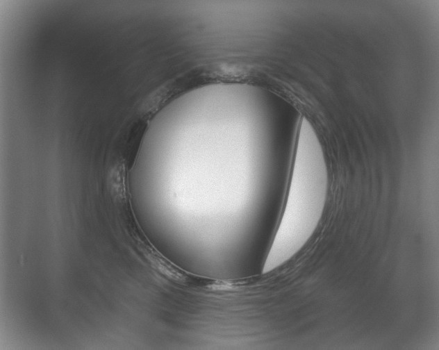 X0000071330425200606230808