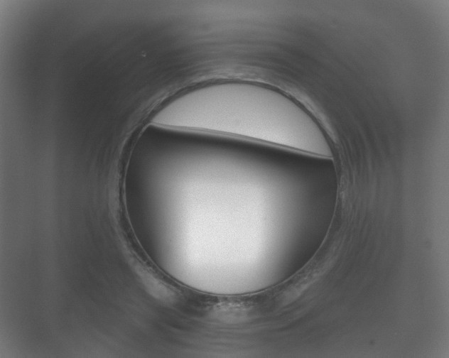 X0000071330445200606230808