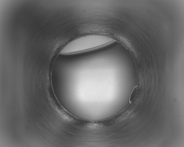 X0000071330453200606230808