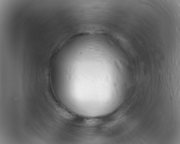 X0000071330461200606230808