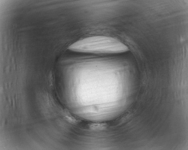 X0000071330465200606230808