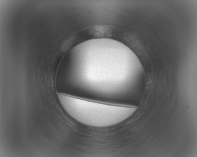 X0000071330469200606230808