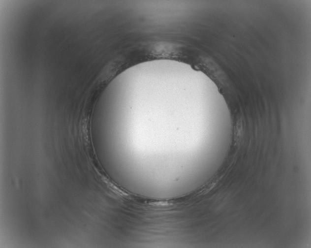 X0000071330473200606230808