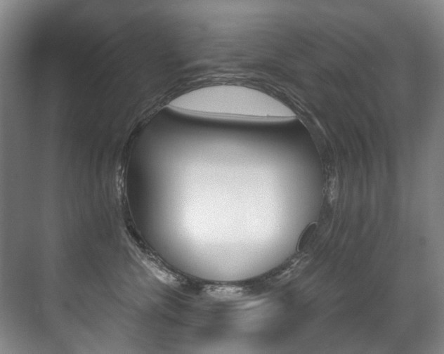 X0000071330476200606230808