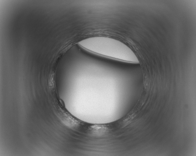 X0000071330477200606230808